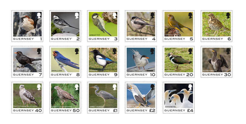 Guernsey Post to issue definitive stamps depicting Bailiwick birds